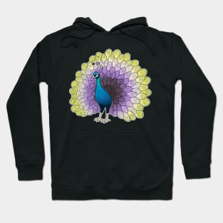 Non-Binary Pride Peacock Hoodie